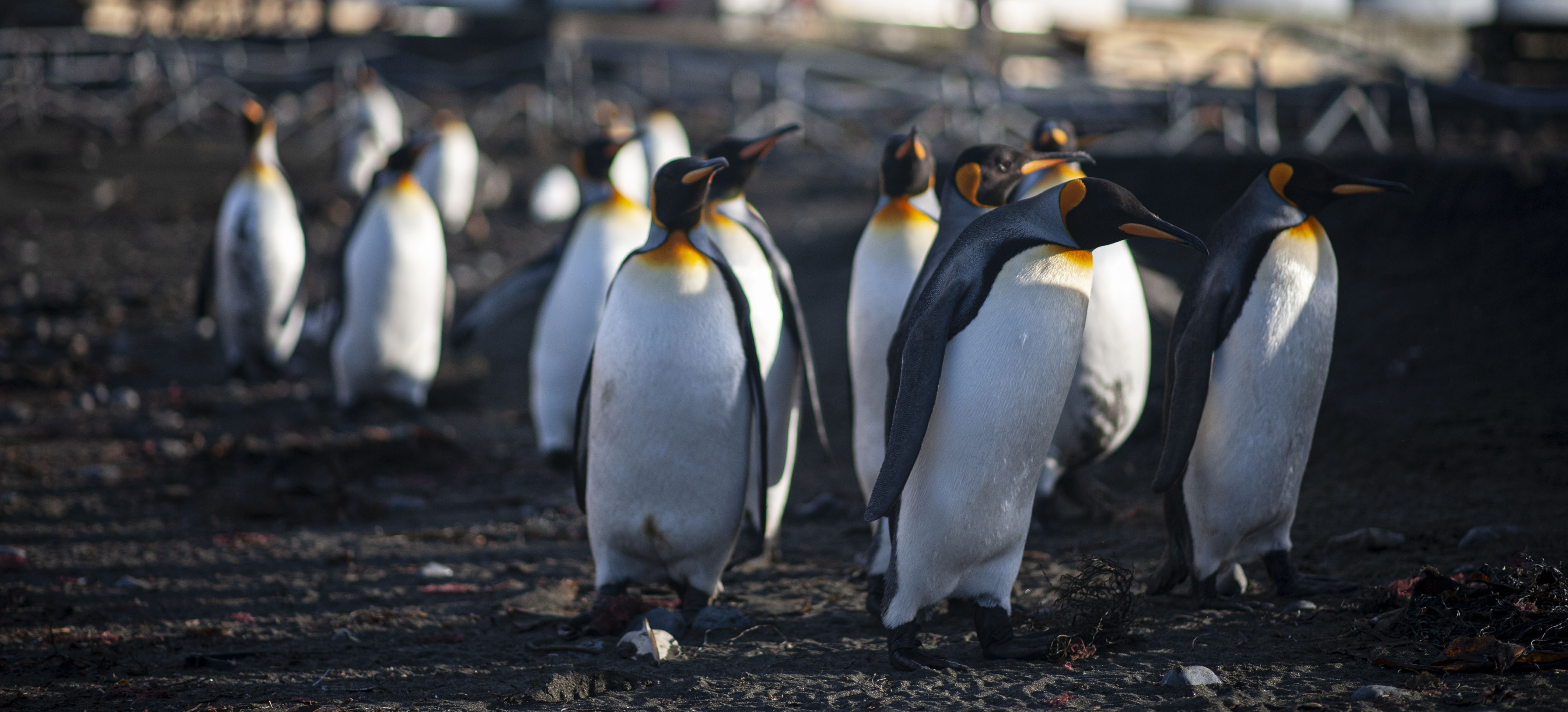 GYT 20220701 140220  DSC6304 2